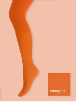 Paisley Purple etGerbera