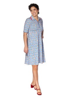 Blue Daisies duCaroline